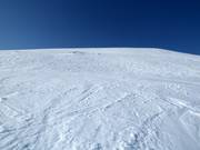 Pentes de poudreuse à Björkliden