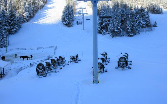 Fiabilité de l'enneigement Plateau intérieur – Fiabilité de l'enneigement Sun Peaks