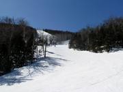 Descente typique en clairière forestière