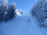 Piste difficile au télésiège Roßleitenbahn
