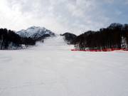 Parfaitement adaptée pour le carving rapide : Ozernaya