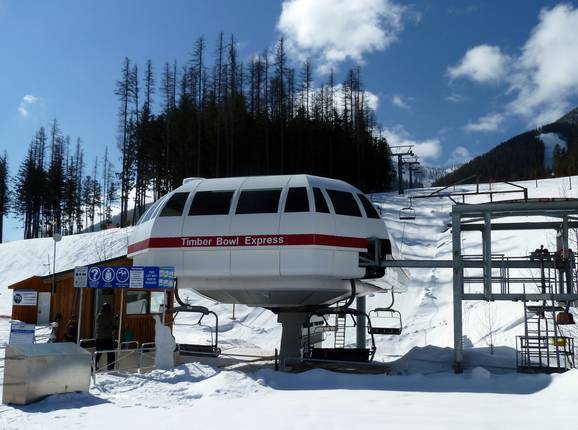 Timber Bowl Express Quad