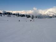 Piste facile Chamois