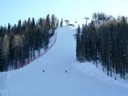 Piste difficile Holzriese 1