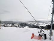 Le domaine skiable est équipé de canons à neige.