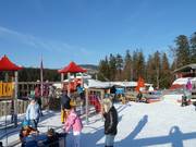 Le grand terrain de jeux