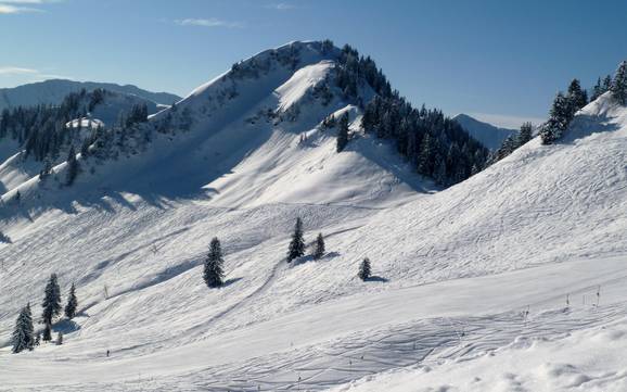 Domaines skiables pour skieurs confirmés et freeriders Bodensee-Vorarlberg – Skieurs confirmés, freeriders Laterns – Gapfohl
