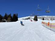 Piste au télésiège Steinermandl