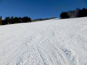 Descente Fishang au téléski de Stübenwasen