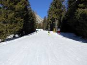 Piste facile Falzeben I