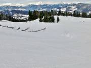 Piste familiale bleue