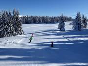 Descente Hirschboden