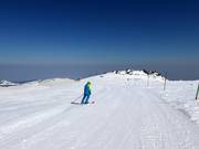 Piste Laleto lesna 3