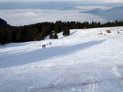 Piste facile au Waldlift