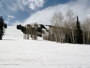 Descentes au Sam's Knob