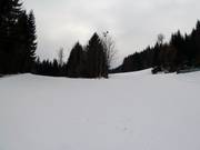 Descente Familien-Kogel