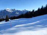 Piste facile Mittelsäss