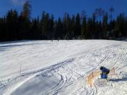 Canon à neige mobile en attente