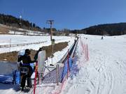 Baby Costa - Tapis roulant/Moving Carpet