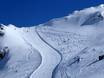 Domaines skiables pour skieurs confirmés et freeriders Alpes ouest-orientales – Skieurs confirmés, freeriders Corvatsch/Furtschellas