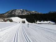 Pistes de ski de fond à Grän dans la vallée de Tannheim