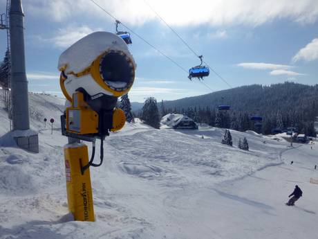 Fiabilité de l'enneigement Todtnau – Fiabilité de l'enneigement Feldberg – Seebuck/Grafenmatt/Fahl