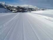 Des traces fraîches dans la neige