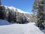 Descente Waldabfahrt Langenstein