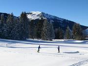 Pistes de ski de fond dans la vallée de Tannheim