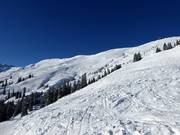 Vaste domaine de poudreuse au télésiège Hornbahn 2000