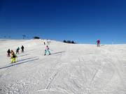 Piste facile Schwarzeck