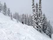 Neige fraîche à Alta