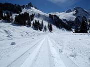 Piste de ski de fond sur le Stoos