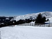 Vue depuis la piste Kamelbuckel en direction du Hohen Zinken