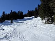 Variantes sur la piste noire Tröglipiste