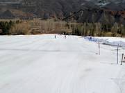 Espace d'entraînement à la station de vallée avec téléski à corde