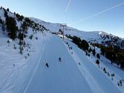 Descente standard FIS