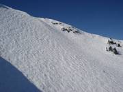 Descentes raides dans la Whistler Bowl