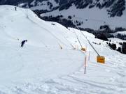 Enneigement par canons à neige à Adelboden