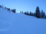 Piste noire Lärchenhang