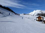 Descente vers la vallée