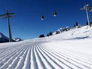 Très bonne préparation des pistes