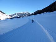 Piste de ski de fond à Weißenbach