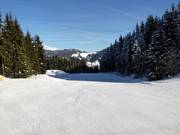 Descente facile vers la vallée jusqu'à Radstadt