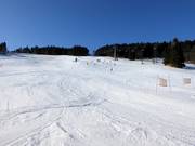 Piste n° 32 W5 Prawa