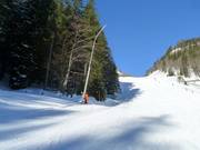 Lance à neige sur la piste Wurzer