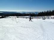 Piste à vagues am Almberg