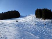 Possibilités de poudreuse à côté des pistes