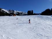 Piste pour débutants Rosenalm/Plattenangerlift (Zell am Ziller)