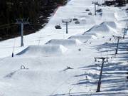 Les obstacles faciles conviennent également parfaitement aux enfants.